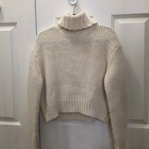 JCrew Chunky Cropped Turtle Neck
